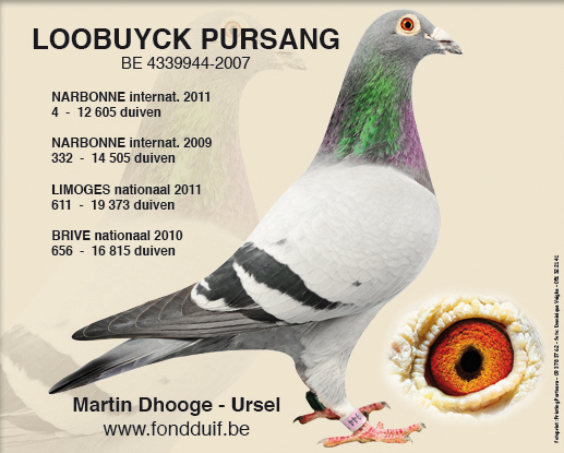 Loobuyck Pursang