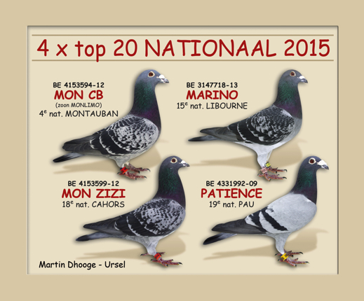4x top 20 nationaal 2015